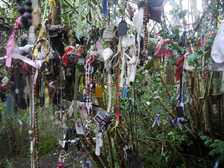 The 'wishing' tree
