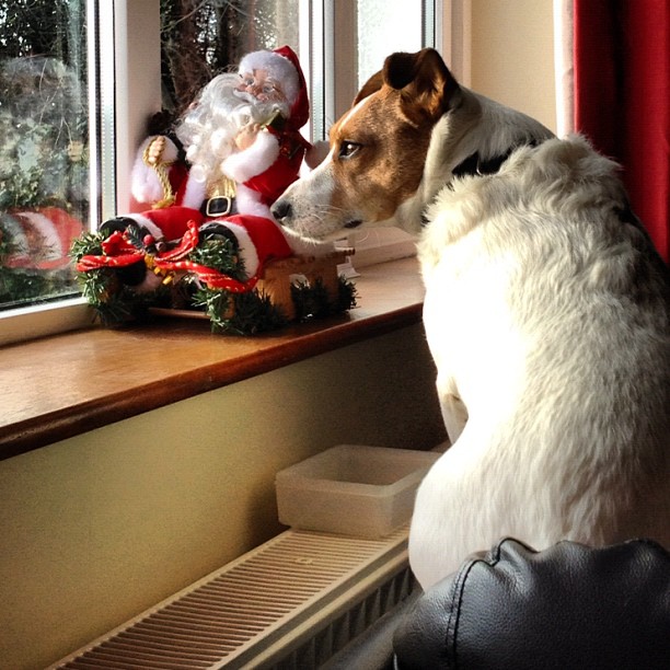 709068ba4cf111e2b6f822000a1f8cdf_7