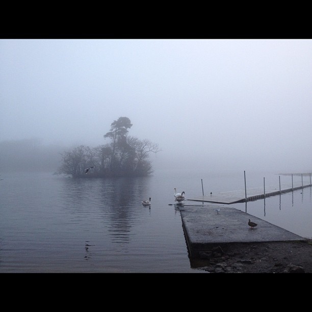 effd869e48f211e2b2c322000a1f9804_7