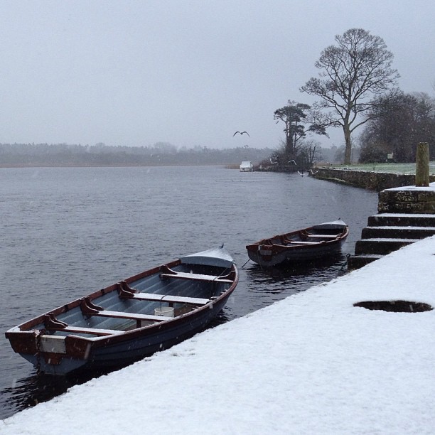 Snowy Sligo