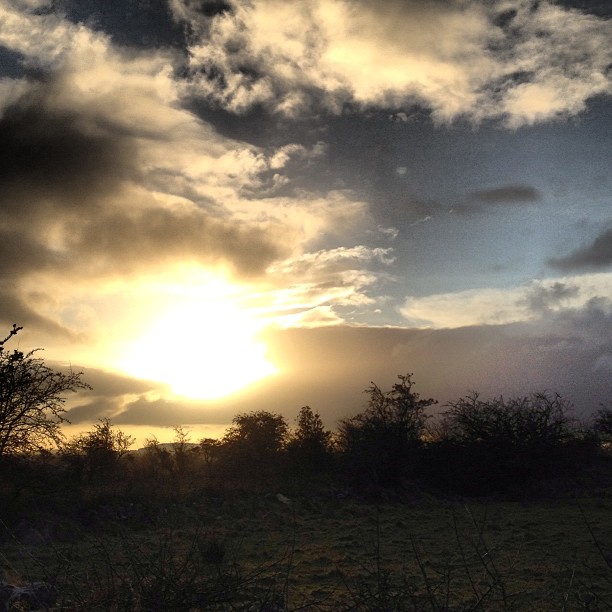 2013 Sunrise