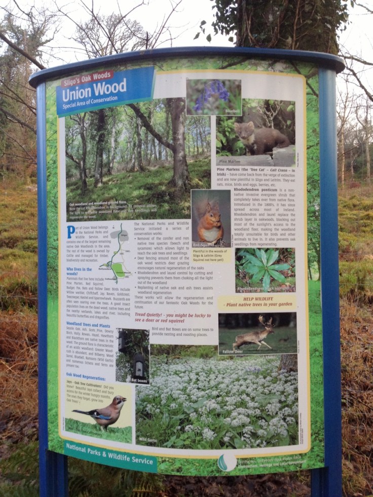 Union Wood sign
