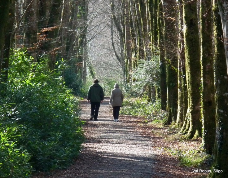 Walking in the woods