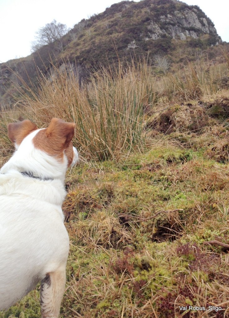 Mountain climbling