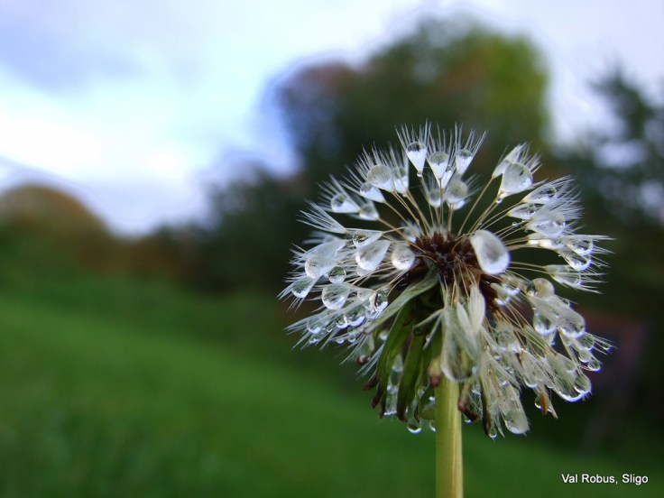 1572406272_df1286b3c0_b