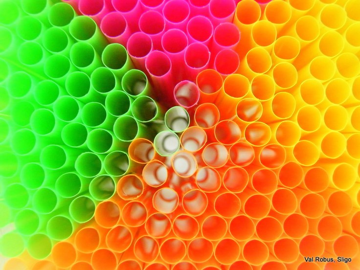 2174947275_a70b124c7d_b