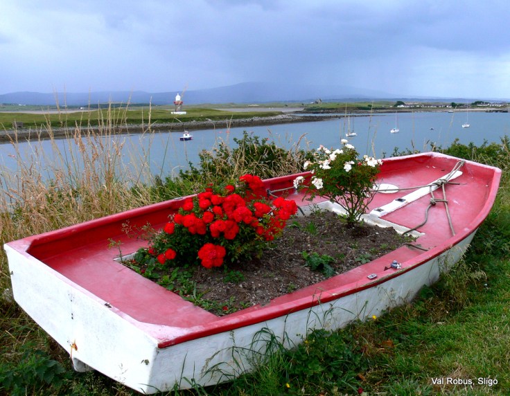 4774060353_9f3d601417_b