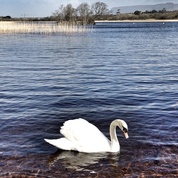 5f80c15eabf211e29a0922000a1f8c1a_7