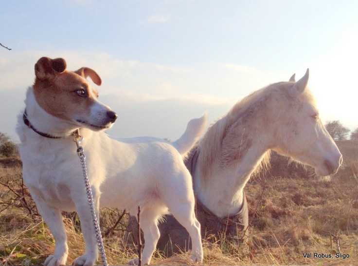 8520637507_d3da74181d_b-3