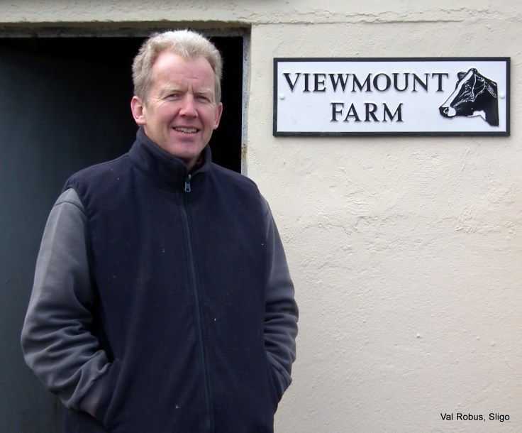 Vincent at Viewmount Farm