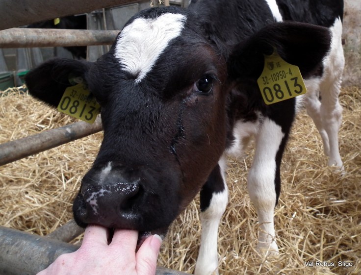 I almost lost a hand!