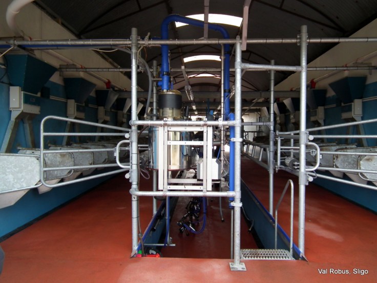 Milking parlour