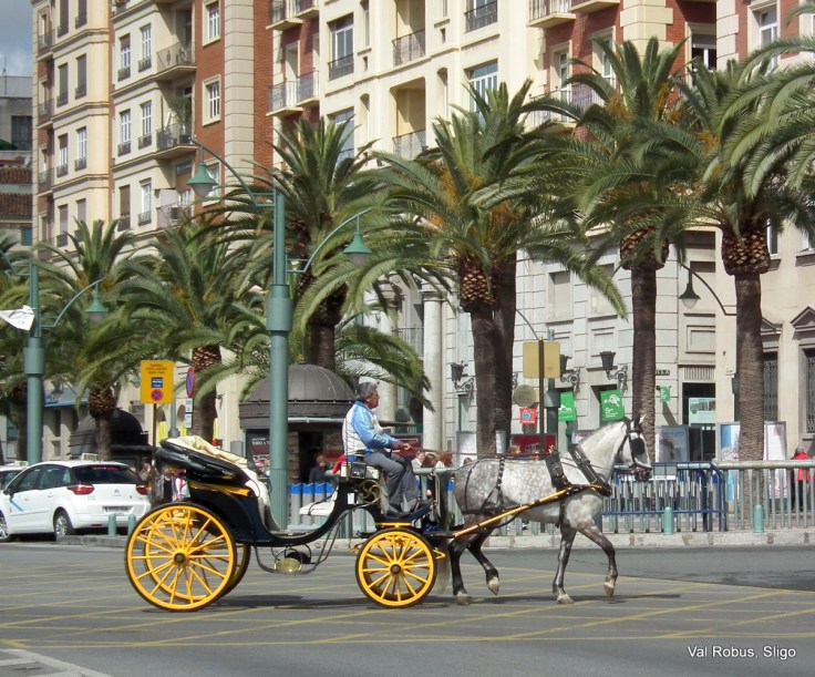 Horse drawn carriage