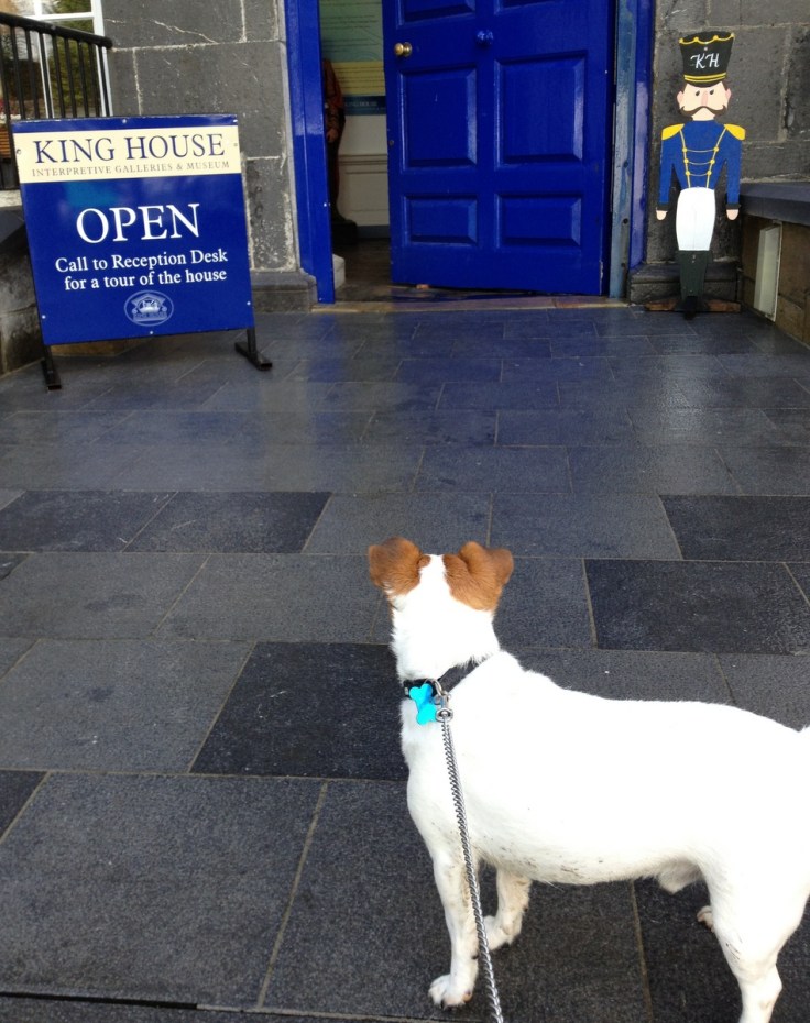 Rocket-dog at King House