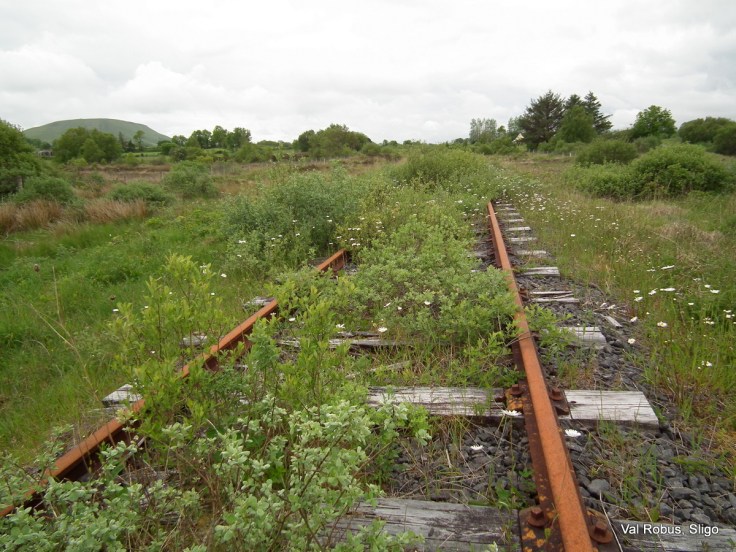 Old railway lines