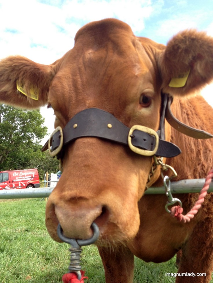 You can't beat a bit of bully