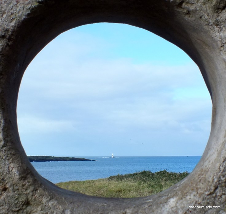 Through the round window