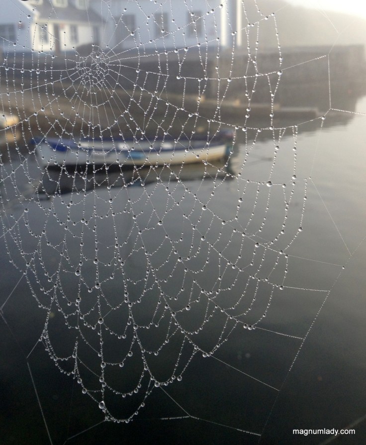 The cobweb and the boat