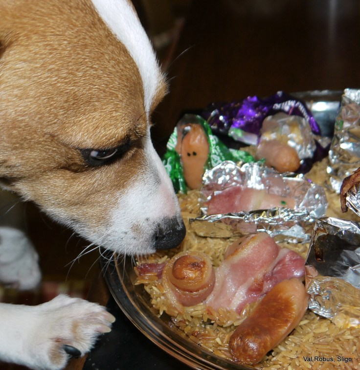 6563691077_97cedf356c_o