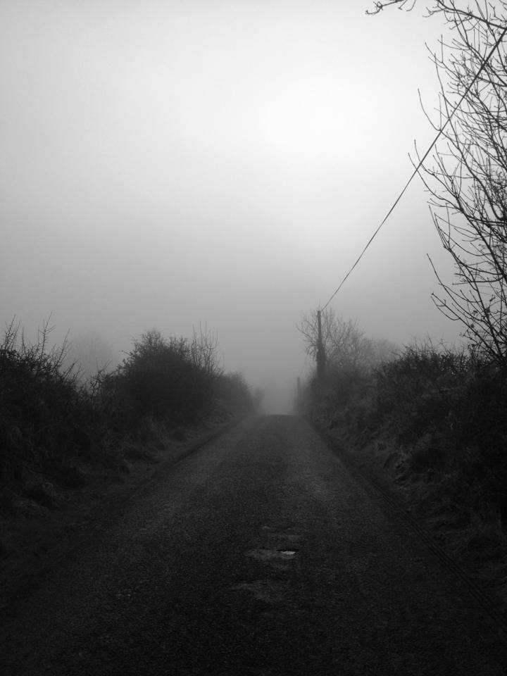 1069827_839765196050319_2087218612_n