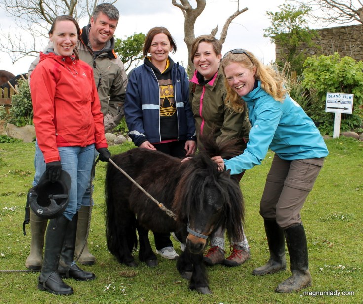 Seatrails and friends