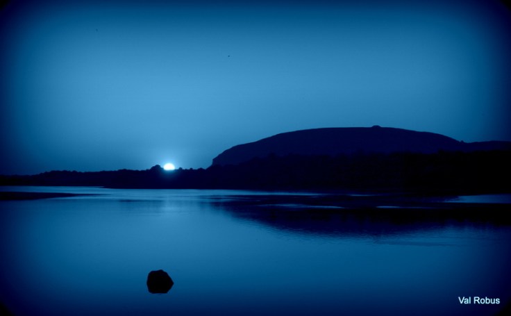 7275404396_41210e083b_o