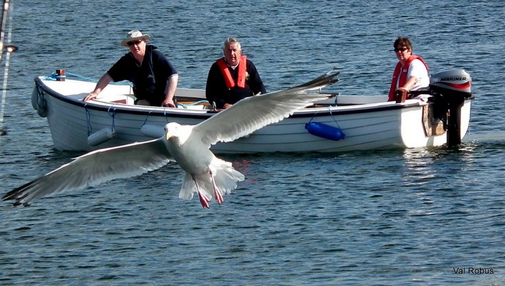 7679894250_694aef54d4_h