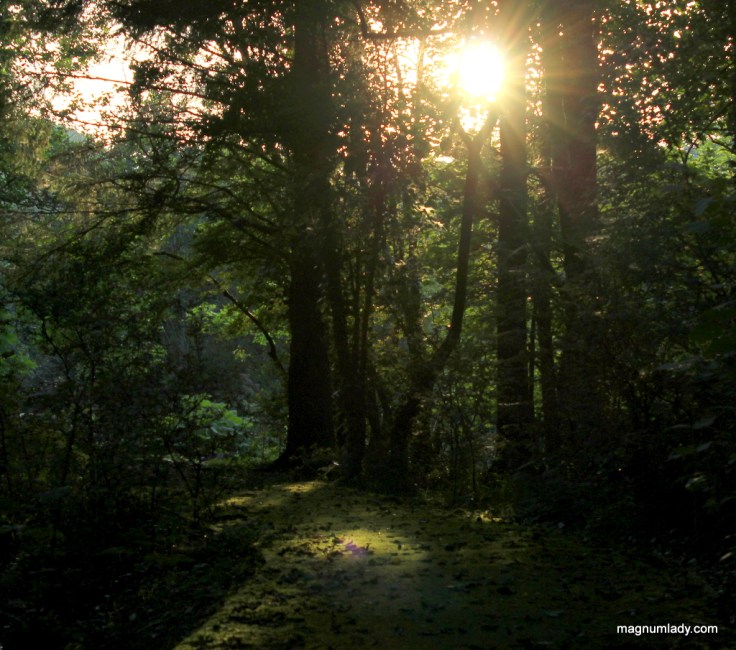 Light in the darkness