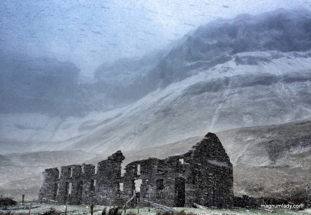 Snowy Sligo