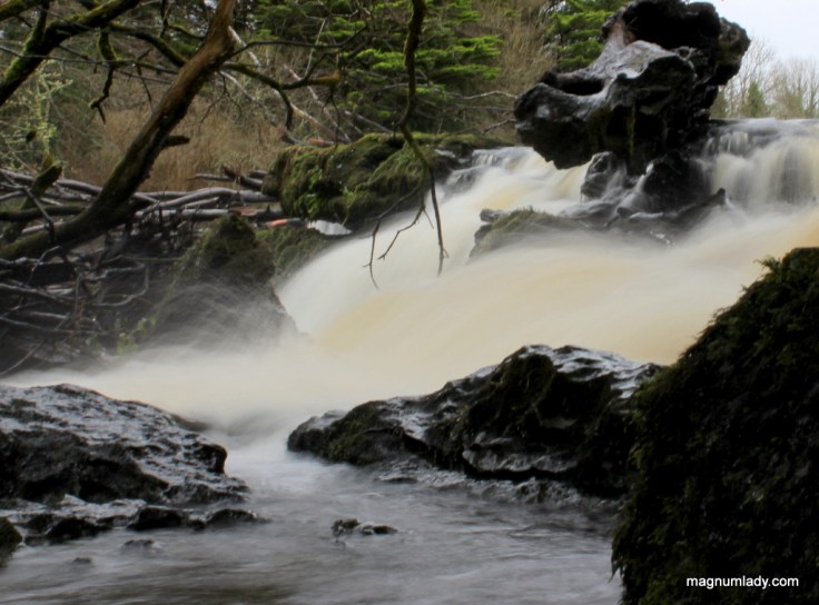 River Bonet