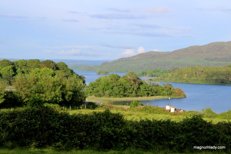 View from Broc House