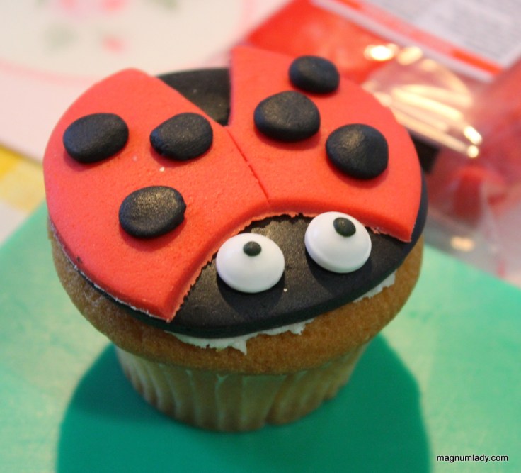 Ladybird cake
