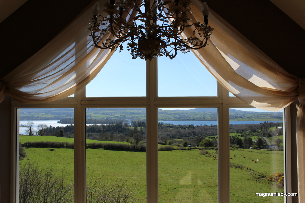 Window