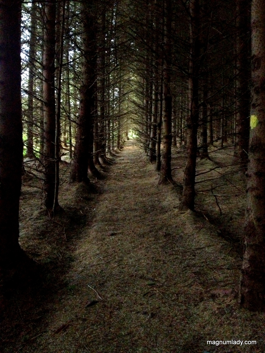 Labby Walk