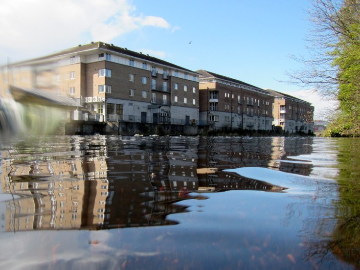 Riverside Reflections