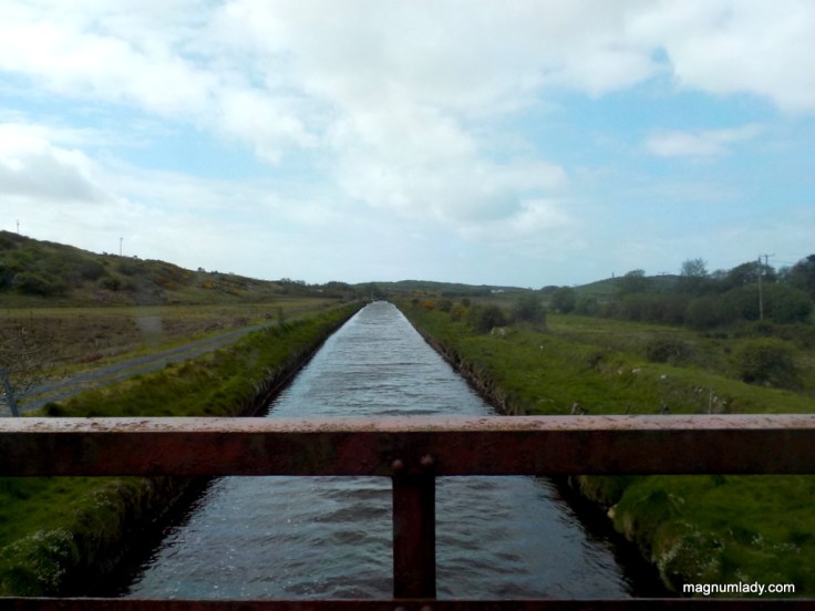 Mayo with Electric Escapes