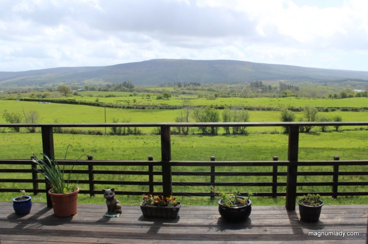 View from Tawnylust Lodge