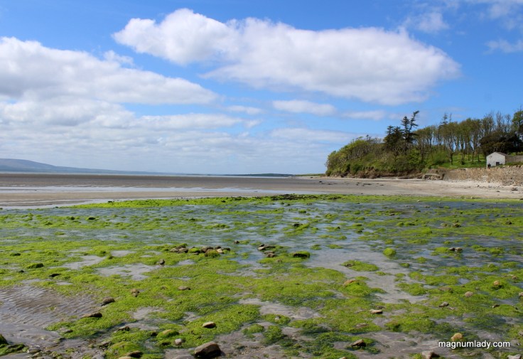 Lissadell Beach