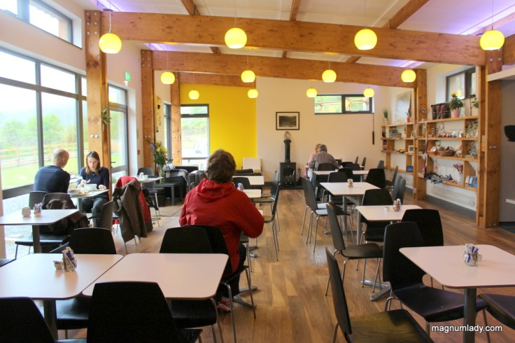 G;encar Teashed interior