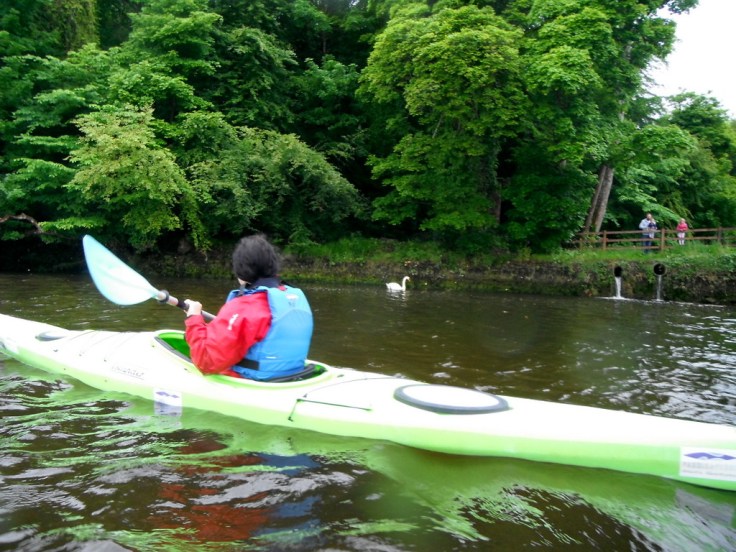 Kayaking alongside Belleek Woods