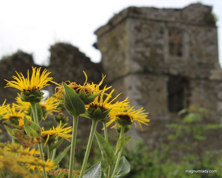 Manorhamilton Castle