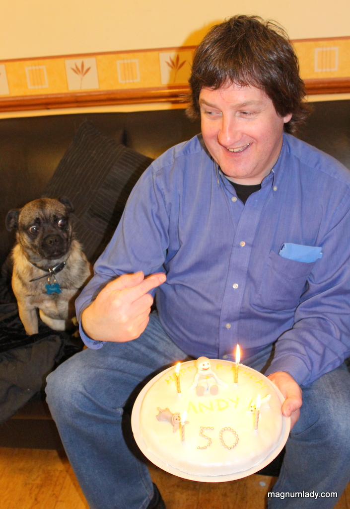 Puggly wants cake!
