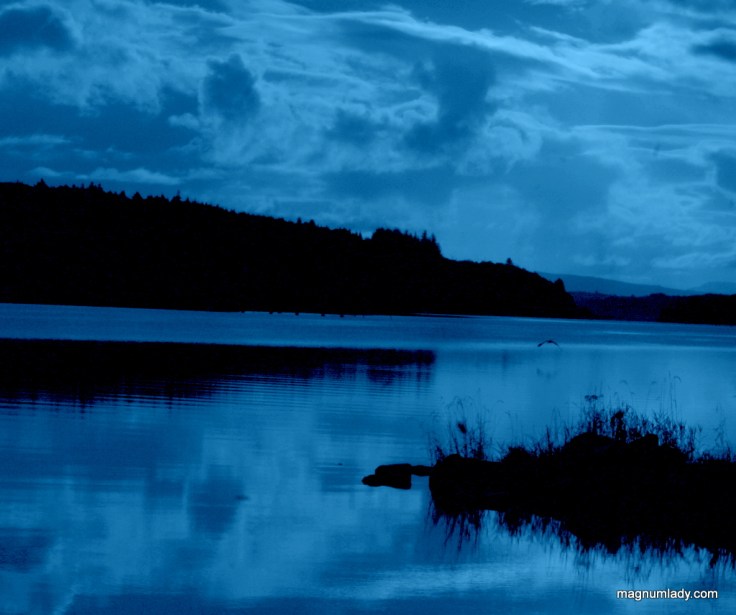 Blue but not feeling blue
