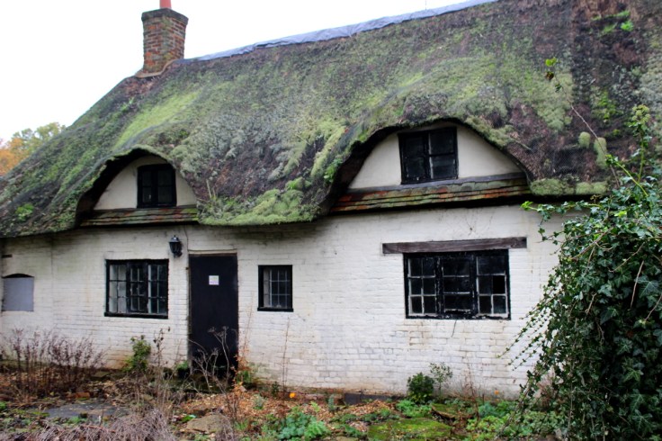 Thatched Cottage