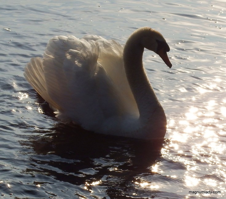 Darkness into the light