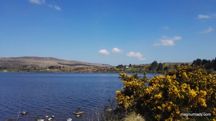 Lough Talt