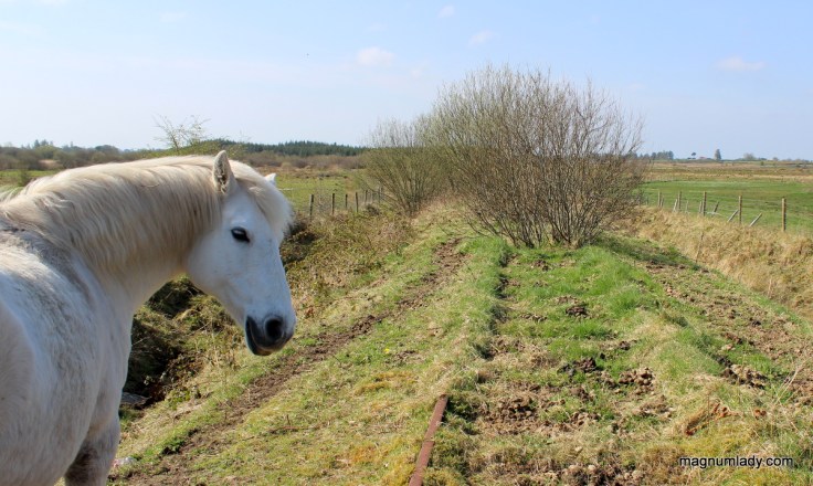 Sligo Greenway