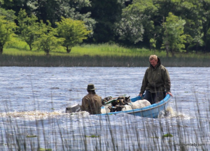 Boat Trip with a difference