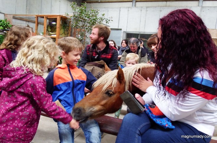 Family day out at Eagles Flying