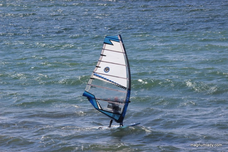 Strandhill windsurfer